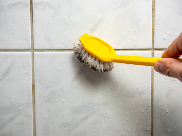Best Mold Testing  in Havelock, NC