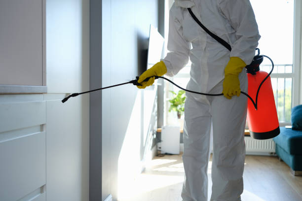 Best Toxic Mold Removal  in Havelock, NC