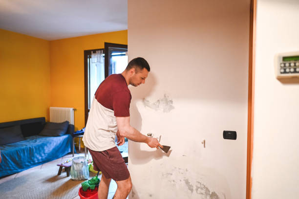 Mold Removal and Inspection in Havelock, NC